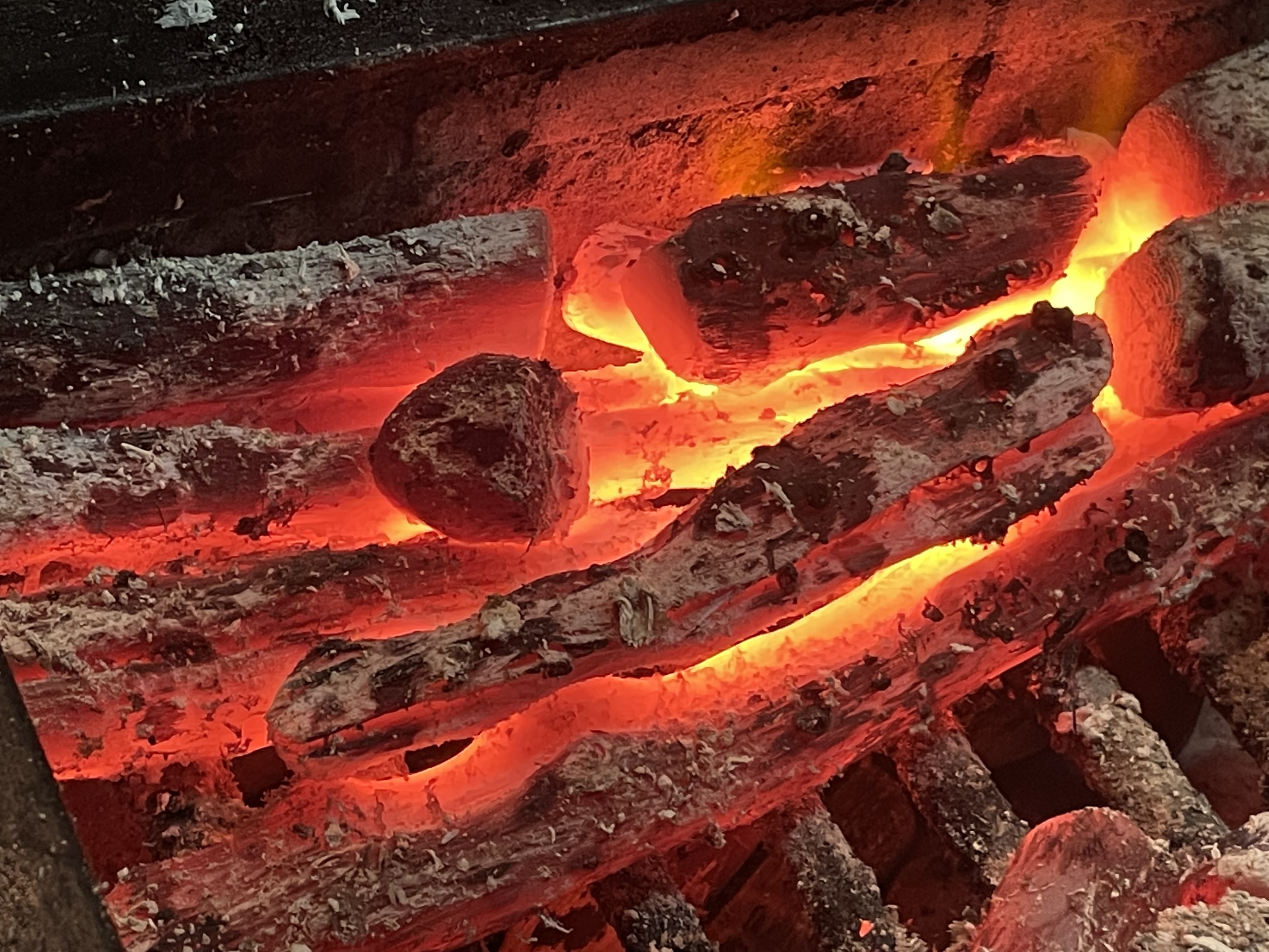 備長炭で焼き上げた本格焼き鳥